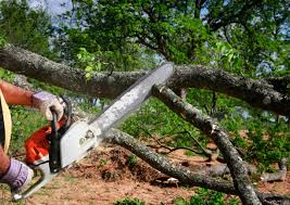 Best Aeration Services  in Racine, WI