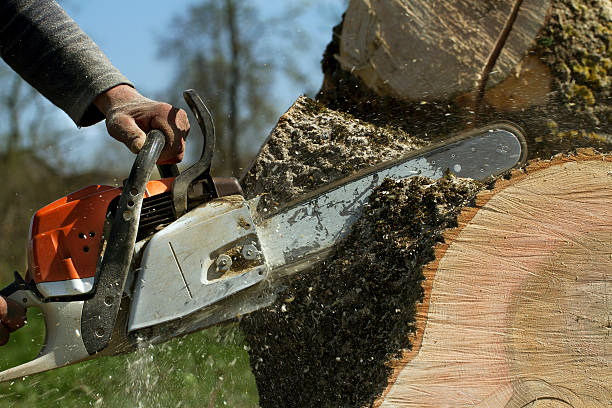 Best Utility Line Clearance  in Racine, WI